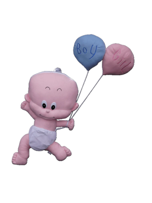3-d raam baby huren
